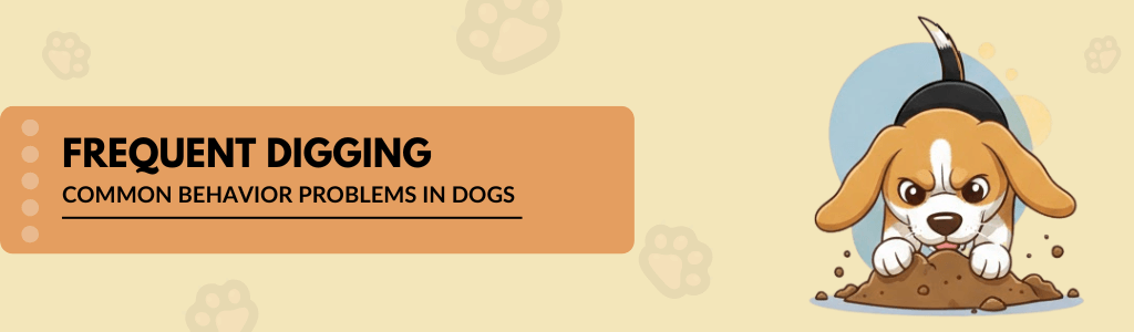 digging common behavior problems in dogs