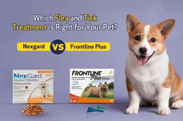 Nexgard Chews vs. Frontline Plus Topical