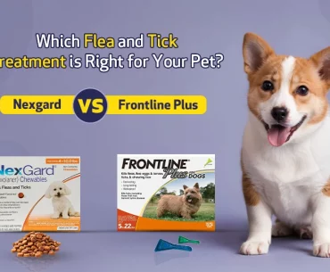 Nexgard Chews vs. Frontline Plus Topical