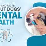 Myths and Facts About Dogs’ Dental Health