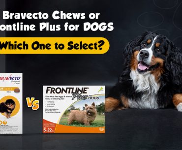 Bravecto Chews and Frontline Plus for Dogs Comparison