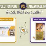 Revolution Plus Vs Advantage Multi for Cats