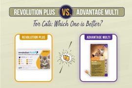 Revolution Plus Vs Advantage Multi for Cats