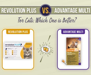 Revolution Plus Vs Advantage Multi for Cats