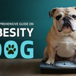 Guide on Obesity in Dogs