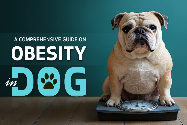 Guide on Obesity in Dogs