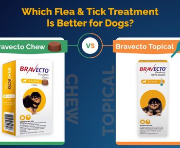Bravecto Chew Vs Topical for Dogs