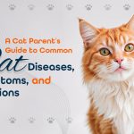 Common Cat Diseases