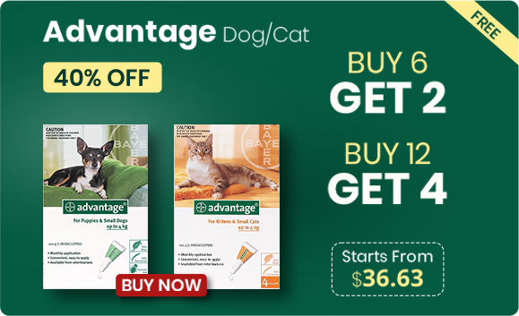 advantage dog cat