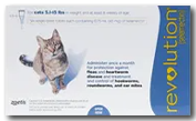 revolution cat