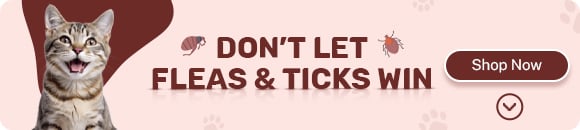 Heartworm and Worm Protection