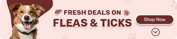 Heartworm and Worm Protection