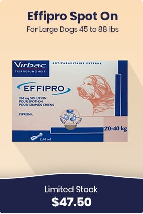 Limited Stock - $47.50