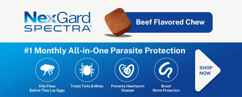 Nexgard Spectra Chewable Tablets for Dogs