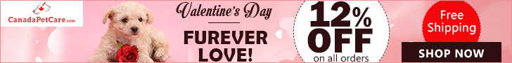 Three Magic Words: Valentine's Steal Deals! Use Code: LOVEDAY & Get Extra 12% Off + Free Shipping on all Pet Products!