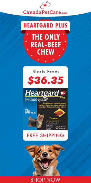 canadapetcare.com - Save Big on Heartgard Plus – Lowest Price Ever!