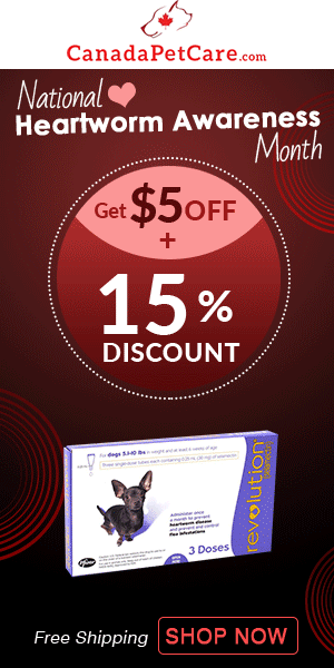 Give Your Pet Year-Round Heartworm Prevention. Flat $5 OFF + Extra 15% Discount & Free Shipping. Redeem Offer Today.