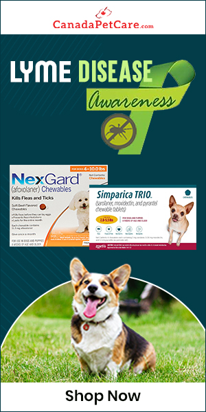 Its Bravecto Time, No Lyme! Save More on All Flea & Tick Products + Free Shipping.
