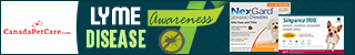 These Lyme Disease Awareness Month Save More. Flat 10%  + Free Shipping on All Order Site-wide.