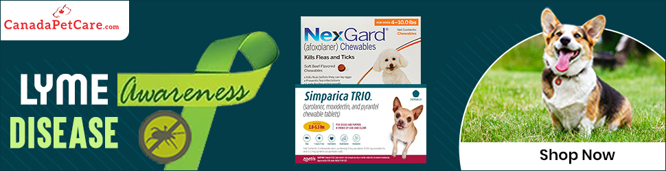 10% OFF Sitewide For Lyme Disease Awareness Month. Buy Nexgard & More at Lowest Price + Free Shipping.