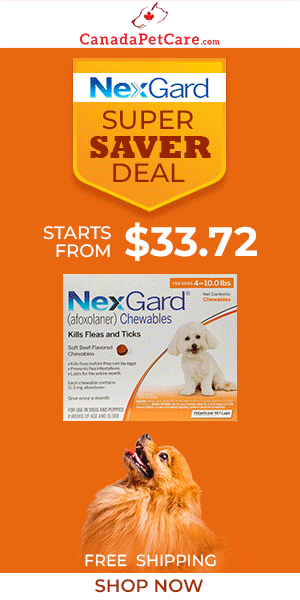 canadapetcare.com - Extra 12% OFF Nexgard for Dogs + Free Shipping