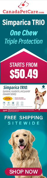 canadapetcare.com - Get Simparica Trio Now! 3-in-1 Defense at Lowest Price