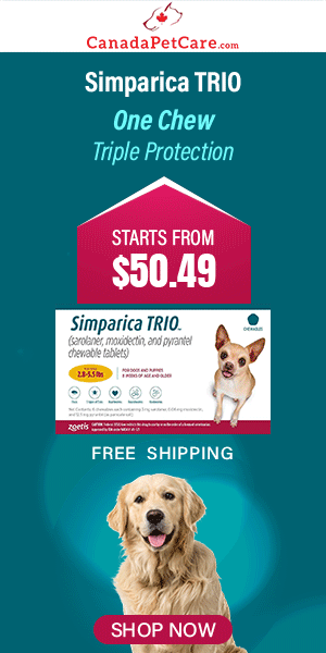 canadapetcare.com - Triple the Protection with Simparica Trio