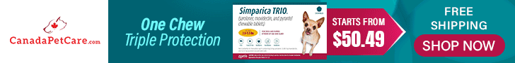 canadapetcare.com - Huge Savings on Simparica Trio – Buy Now and Save Big