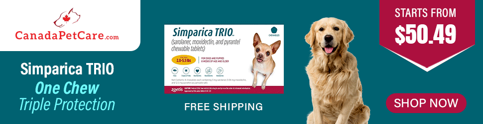 canadapetcare.com - Lowest Price Alert: Simparica Trio for Dogs – Limited Time Offer!