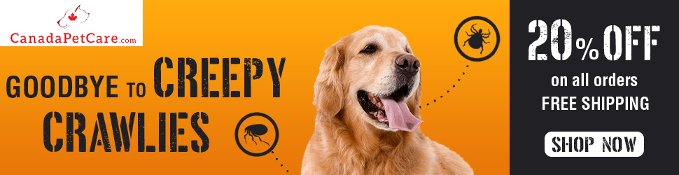 BOO! Scary Savings Alert - Enjoy 20% OFF Your Entire Order + Free Shipping