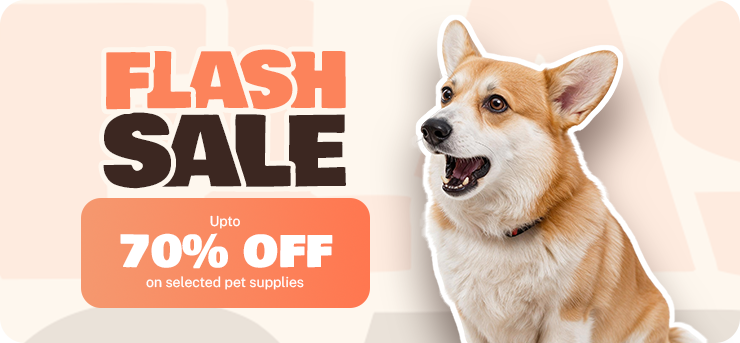 Coupon Banner