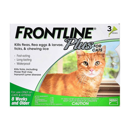 frontline for cats and kittens