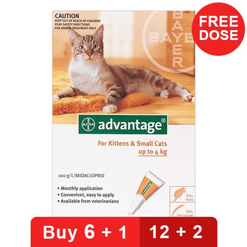 Advantage For Cats Buy Advantage For Cats Online At Lowest Price In Us Canadapetcare Com