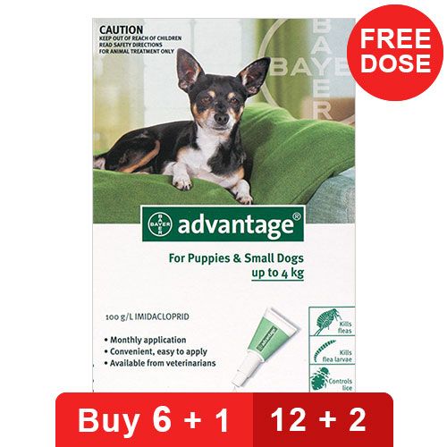 Advantage for Dogs : Buy Advantage for 