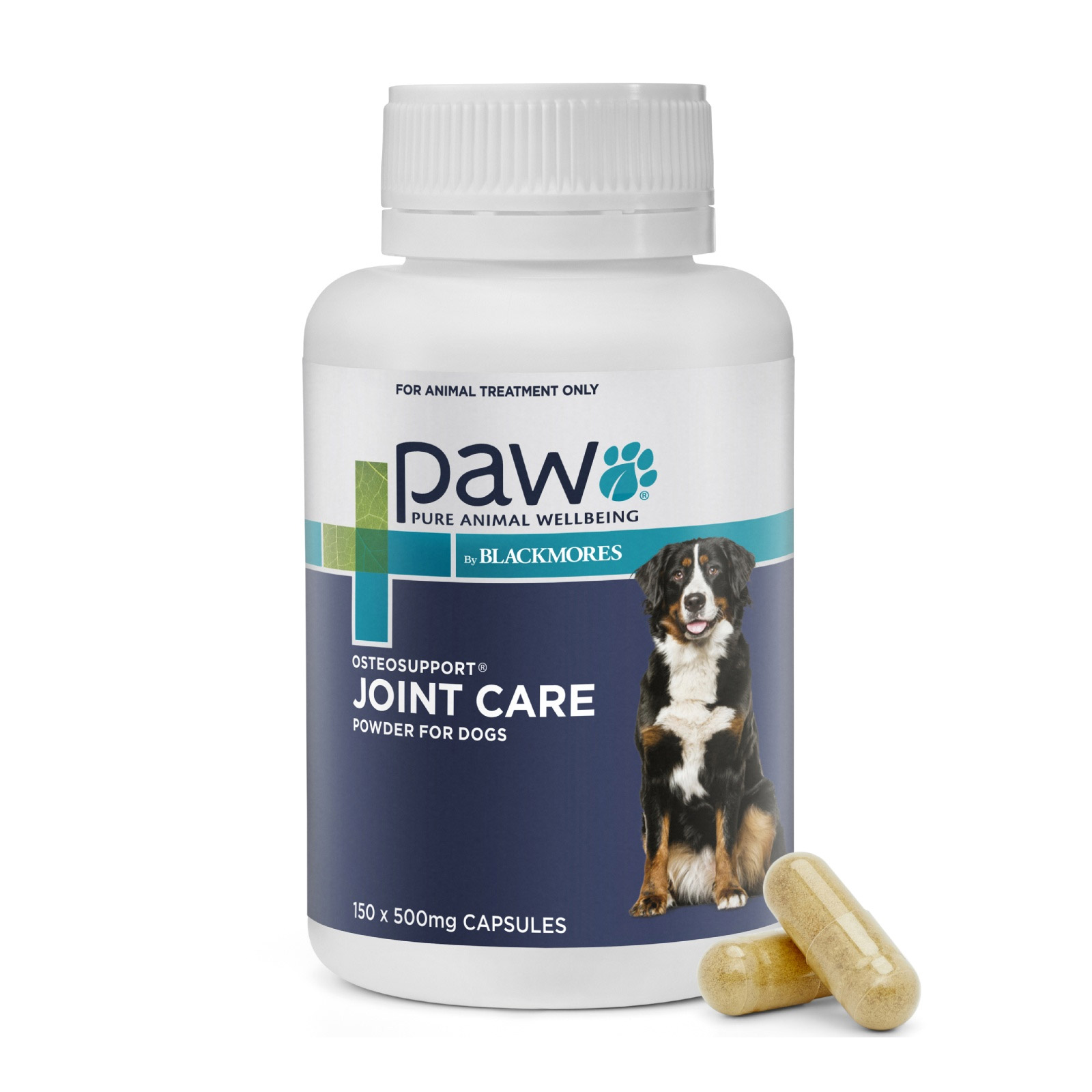 Best Dog Supplements for Joint and Digestive Health in 2025: Essential 6, Pro-Kolin, SeaFlex, 4CYTE & More 8 Paw Osteosupport