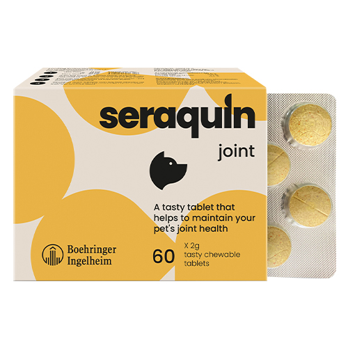 Seraquin 2 gm