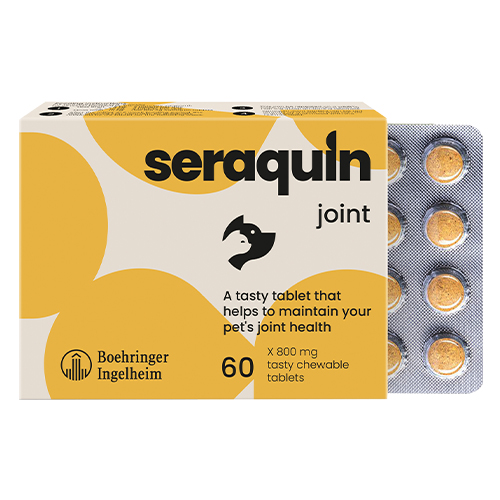 Seraquin 800 mg
