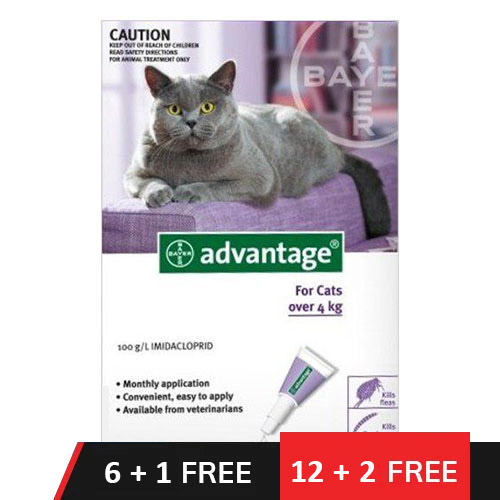 Advantage Cats Over 10lbs (Purple) 12 Doses Buy 12 - Get 2 Free