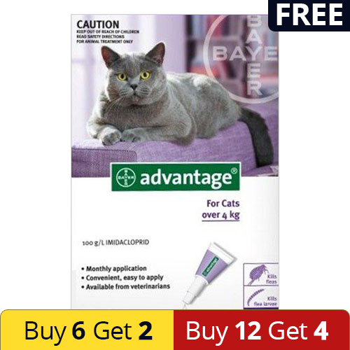 Advantage Cats Over 10lbs (Purple) 12 Doses + 4 Free