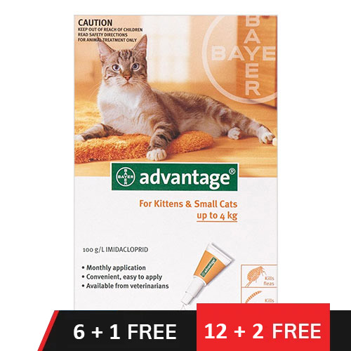 Advantage Kittens & Small Cats 1-10lbs 6 Doses Buy 6 - Get 1 Free