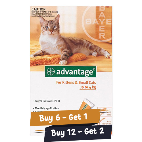 Advantage for Cats Buy Advantage for Cats Online at lowest Price