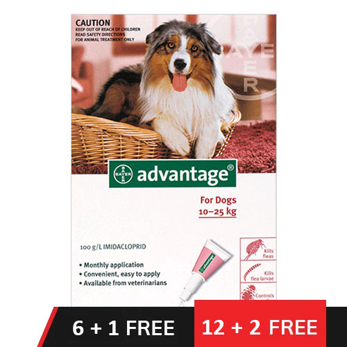 Advantage Large Dogs 21-55lbs (Red) 12 + 2 Doses Free