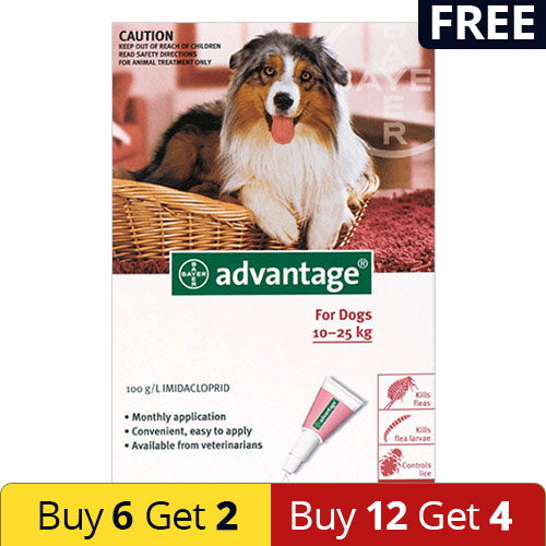 Advantage Large Dogs 21-55lbs (Red) 12 Doses + 4 Free