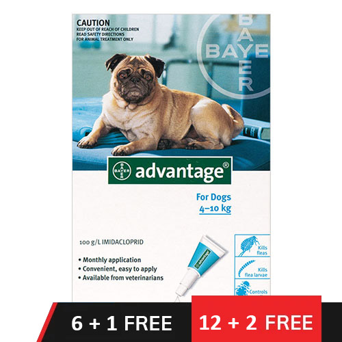 Advantage Medium Dogs 11-20lbs (Aqua) 6 + 1 Dose Free