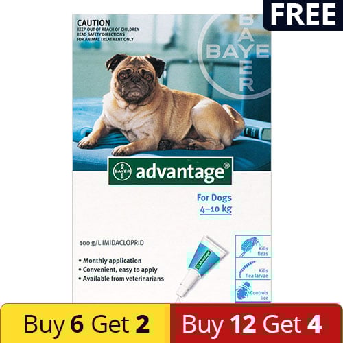 Advantage Medium Dogs 11-20lbs (Aqua)