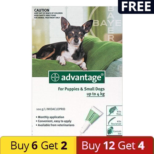 Advantage Small Dogs/ Pups 1-10lbs (Green)