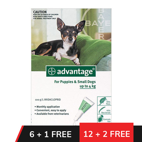 Advantage Small Dogs/ Pups 1-10lbs (Green)