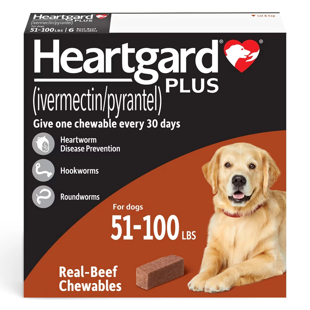 Heartgard Plus Chewables For Large Dog 51-100lbs (Brown) 6 Doses-image-112