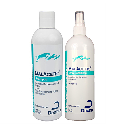 

Dechra Malacetic Combo Pack (Shampoo 230 Ml + Conditioner 230 Ml) 1 Pack