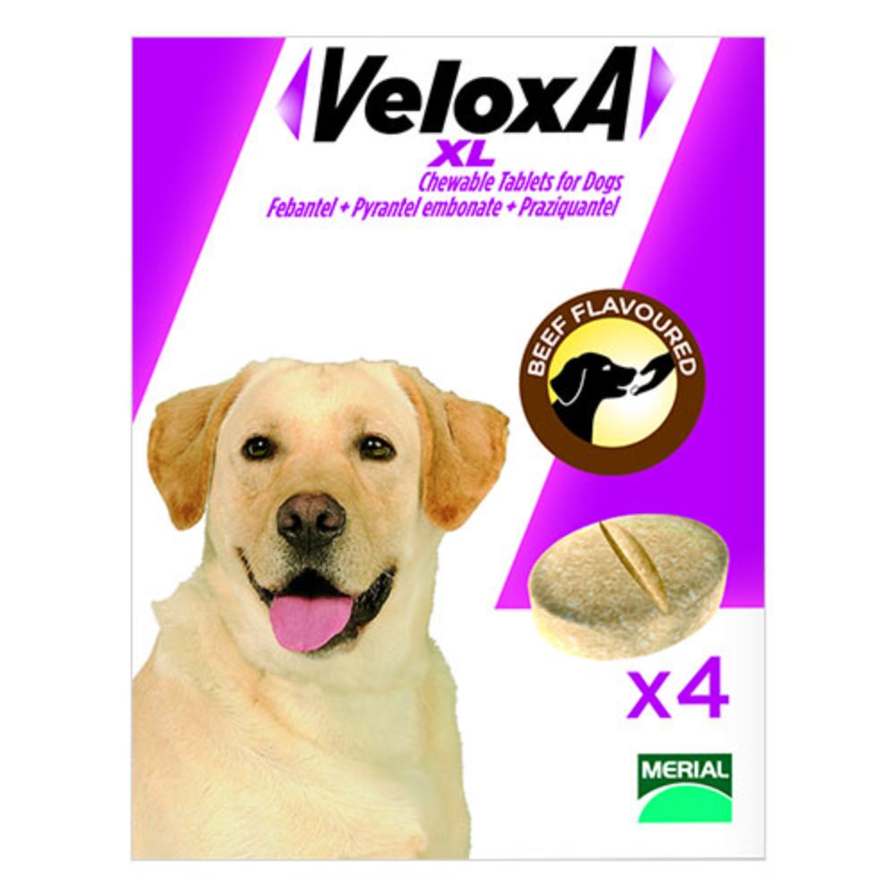 Veloxa Xl Chewable Tablets For Large Dogs Up To 35 Kg 2 Tablets